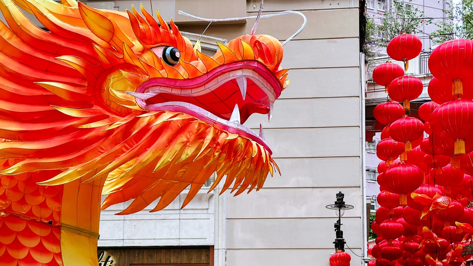 Lunar New Year Boosts Bitcoin and Crypto Trading Volumes